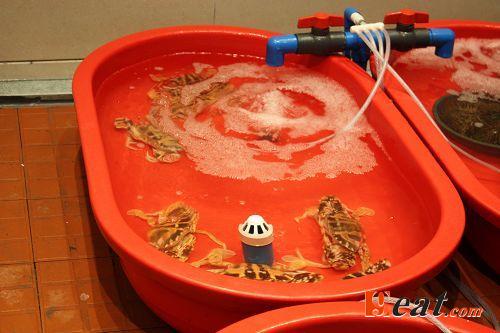 中国海鲜英文菜名_中国美食图片菜名_湘菜菜品图及菜名(2)