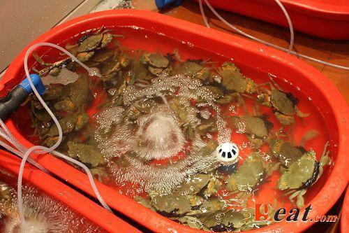 点击图片查看详情 中国海鲜英文菜名_中国美食图片菜名_湘菜菜品图及菜名(3)
